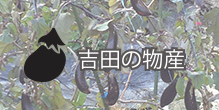 吉田の物産