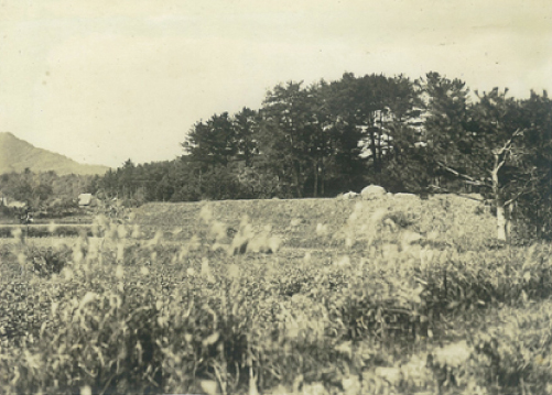 練兵場のあった1926 年（大正元）頃の鳩ヶ尾